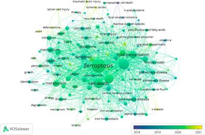 The research landscape of ferroptosis in the brain: A bibliometric analysis